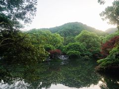 -龙井村
