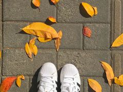 -麦当劳(无锡永乐店)