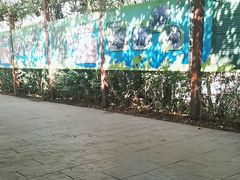 -野象谷景区