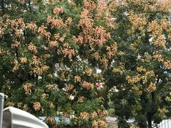 -江妈面馆(夷陵路店)