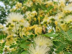 -白鹭湾湿地公园