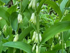 -国家植物园南园