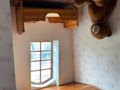 -金山农民画村-枫泾波兰倒置屋