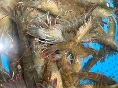 -加餐海鲜自助(宝龙一城店)