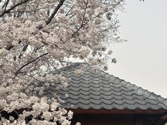 -石家庄市植物园
