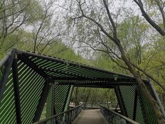 -西湖风景区-江洋畈生态公园