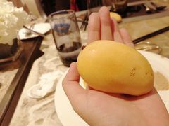 -安蒂娅·海鲜自助餐厅(安蒂娅美兰酒店)