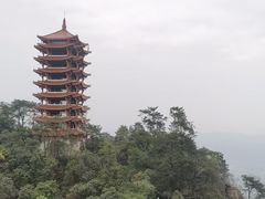 -缙云山景区