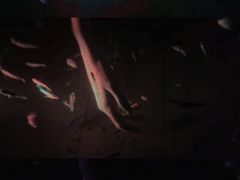 -杭州第一世界大酒店·云曼温泉