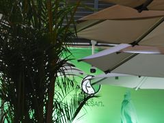 -813芭依珊 BAESAn(皇冠十畝地店)