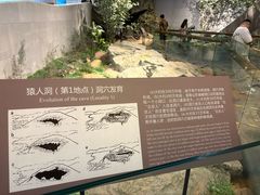 -北京周口店北京人遗址博物馆