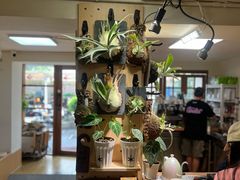 -本無咖啡·BeanWood Coffee