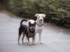 -杭州城北体育公园