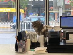 -天使咖啡(兴新街店)