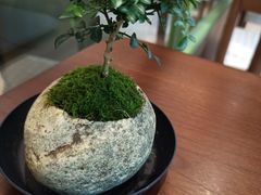 -小西家作(富力爱丁堡店)