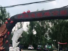 -白渔泡湿地公园