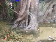 -临沂极地海洋王国