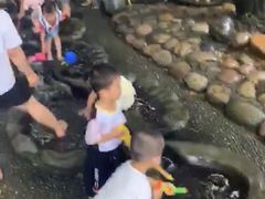 -成都市活水公园