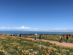 -青海湖国家重点风景名胜区