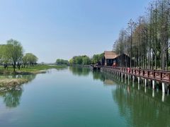 -苏州太湖湖滨国家湿地公园