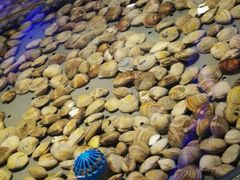 -澜悦港海鲜体验主题餐厅