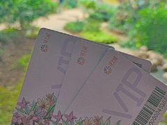 -花之城