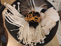 -渡娘火锅(大兴大悦春风里店)