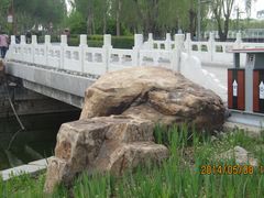 小桥-长春公园(普阳街道)