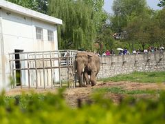 -西安秦岭野生动物园