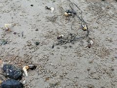 -霞山观海长廊