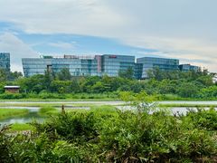 -华侨城湿地公园