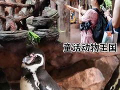 -长鹿旅游休博园