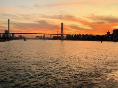 -摆渡站(董家渡站)