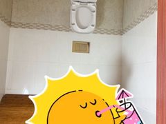 -金山农民画村-枫泾波兰倒置屋