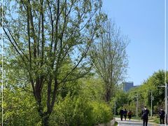 -长春公园(普阳街道)