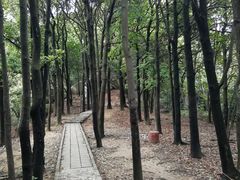 -火炉山森林公园