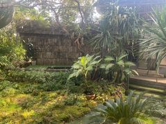 -Ohkajhu Organic Farm Sansai