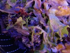-皇玺·云汀花园餐厅(振华商厦店)