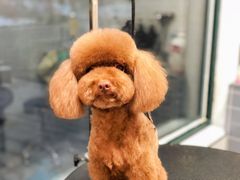 -宠颐生动物医院·心脏科·保险定点(锦阳分院)