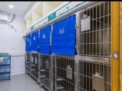 -关爱宠物医院·猫科中心·消化科(滨湖万达分院)