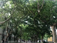 -曲阜师范大学(曲阜校区)