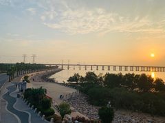 -宝安西湾红树林湿地公园