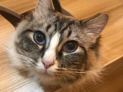 -白兔子密室(长寿路店)