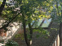 -上海吴淞炮台湾国家湿地公园