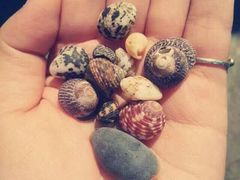 iphone_upload_pic-西涌国际滨海旅游区