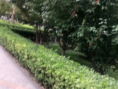-世东国际
