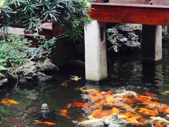 -北园酒家(小北路店)