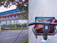 -宝安西湾红树林湿地公园