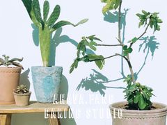 -AHAVA·Fang Baking Studio