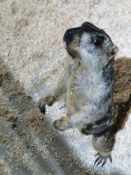 -酷嗒动物文化乐园(cutezoo西溪乐天城店)